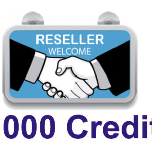 1000 Credit